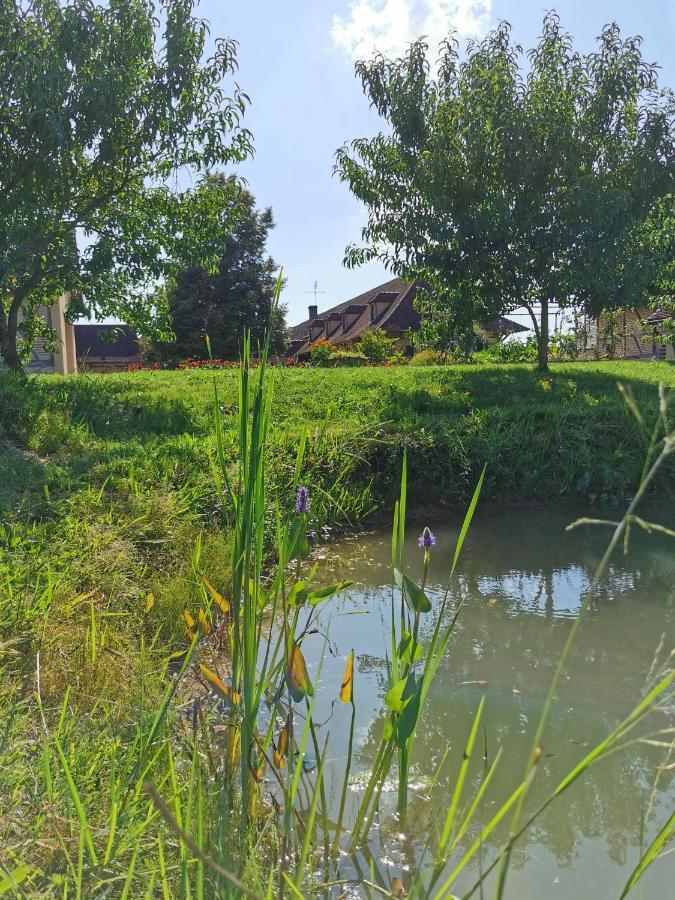 Gite De La Ferme De La Terve Bruailles Экстерьер фото